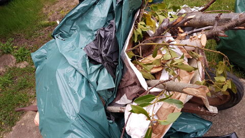 Bois diff�rentes tailles et grosseurs 10 Taverny (95)