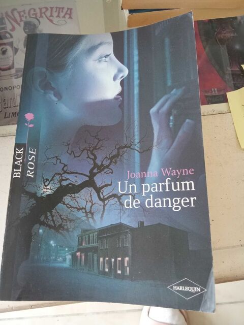 un parfum de danger 2 Les Peintures (33)