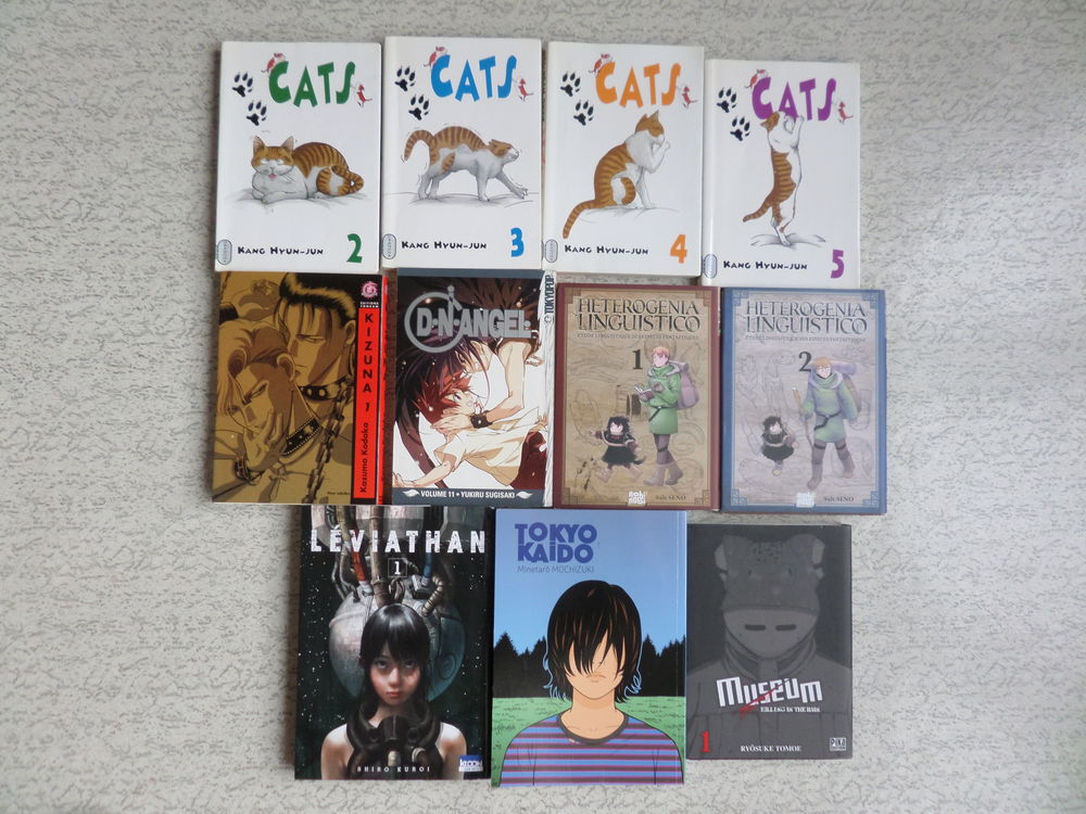 lot de livres manga Livres et BD