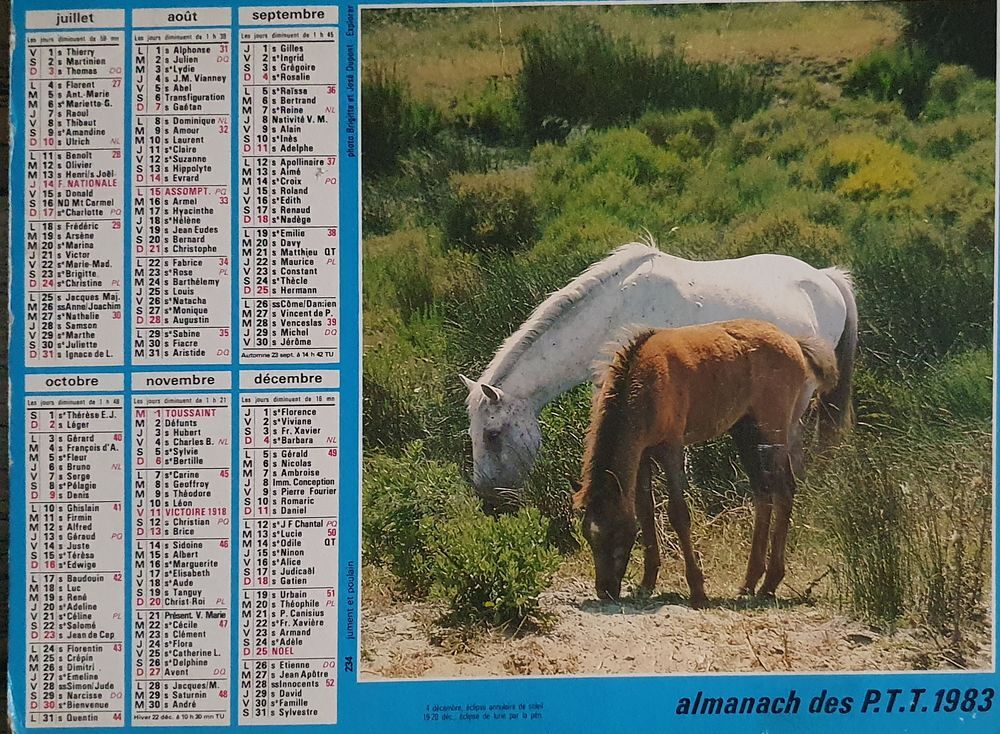 Calendriers PTT 1983 1988 1994 2000 2004 