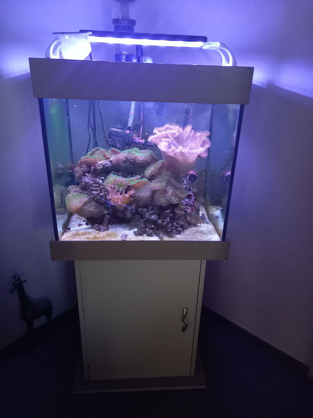 Aquarium complet Meubles