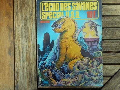 Echo des savanes n° 20 hors série spécial USA 1977 10 Nieuil-l'Espoir (86)