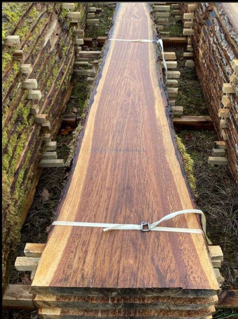 Plots de Ch&ecirc;ne Bricolage
