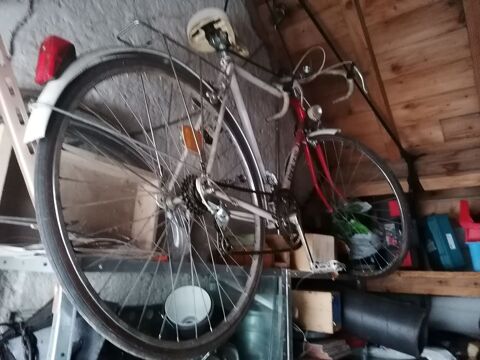 V�lo demi course RAYMOND DELISLE ( collector ) 40 Veign� (37)