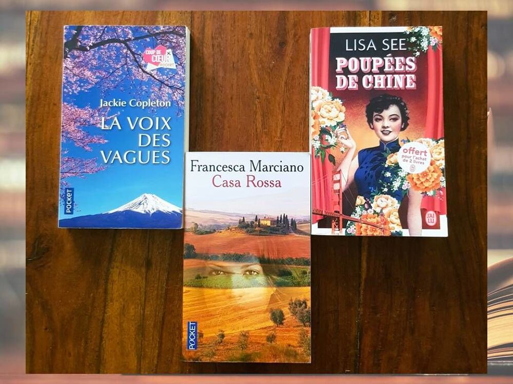 Litt&eacute;rature contemporaine - Lot 3 romans Poche Pocket Livres et BD