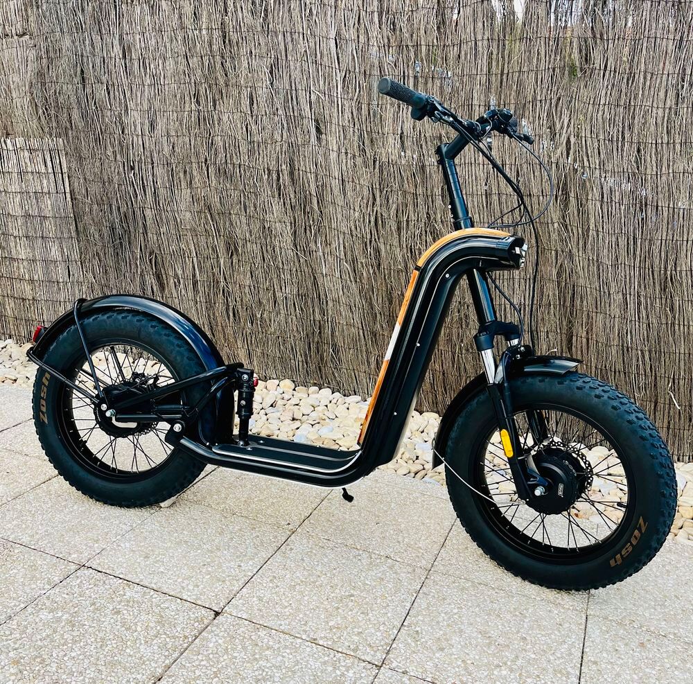 Trottinette Zosh Mountain 381km 2025 &eacute;lectrique Sports