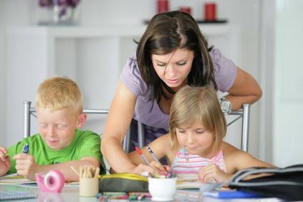  Professeure propose cours en; maternelle CP CE,CM,6me,5me  