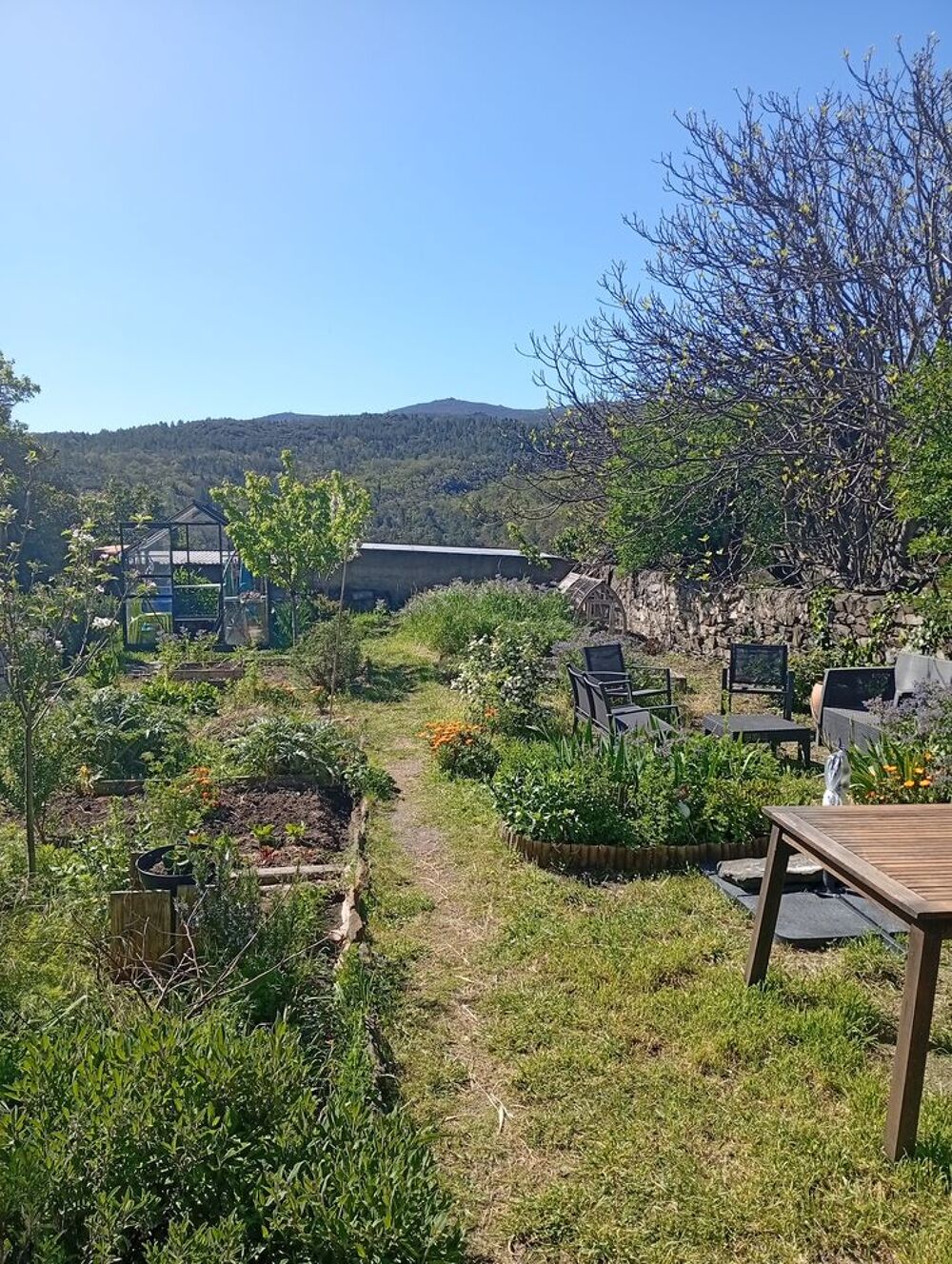 Vente Maison Maison de village Sournia