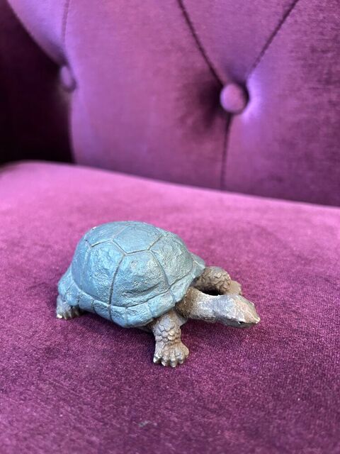 Tortue avec carapace bleue Menton (06)