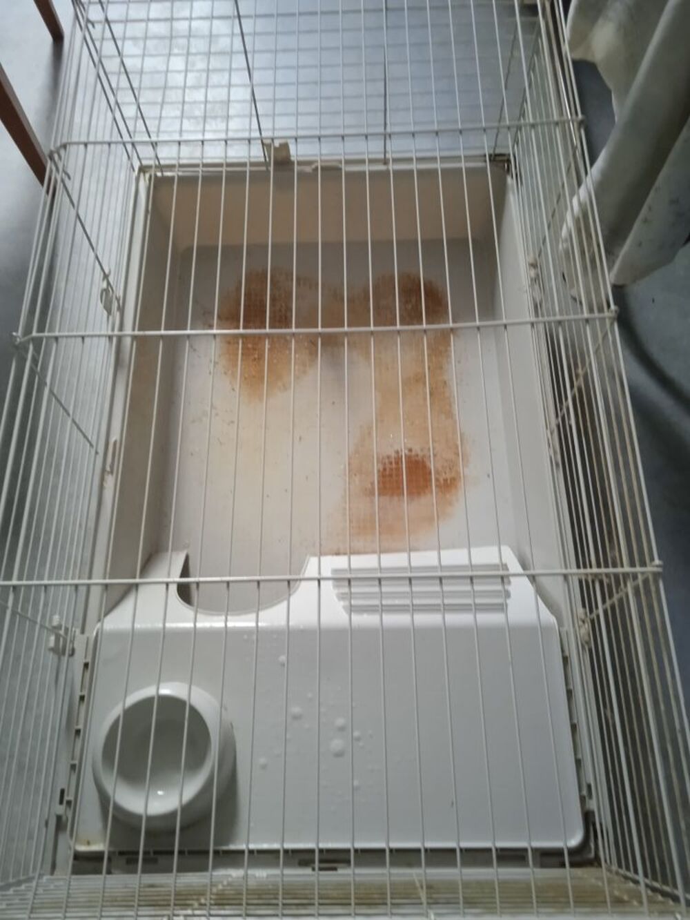 une petite cage &agrave; lapin nain de 93 cm de long Mobilier enfants