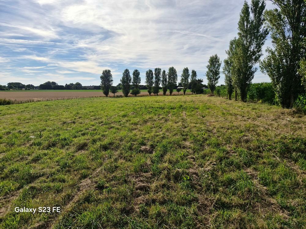 Vente Terrain terrain constructible viabilisé Octeville-sur-mer