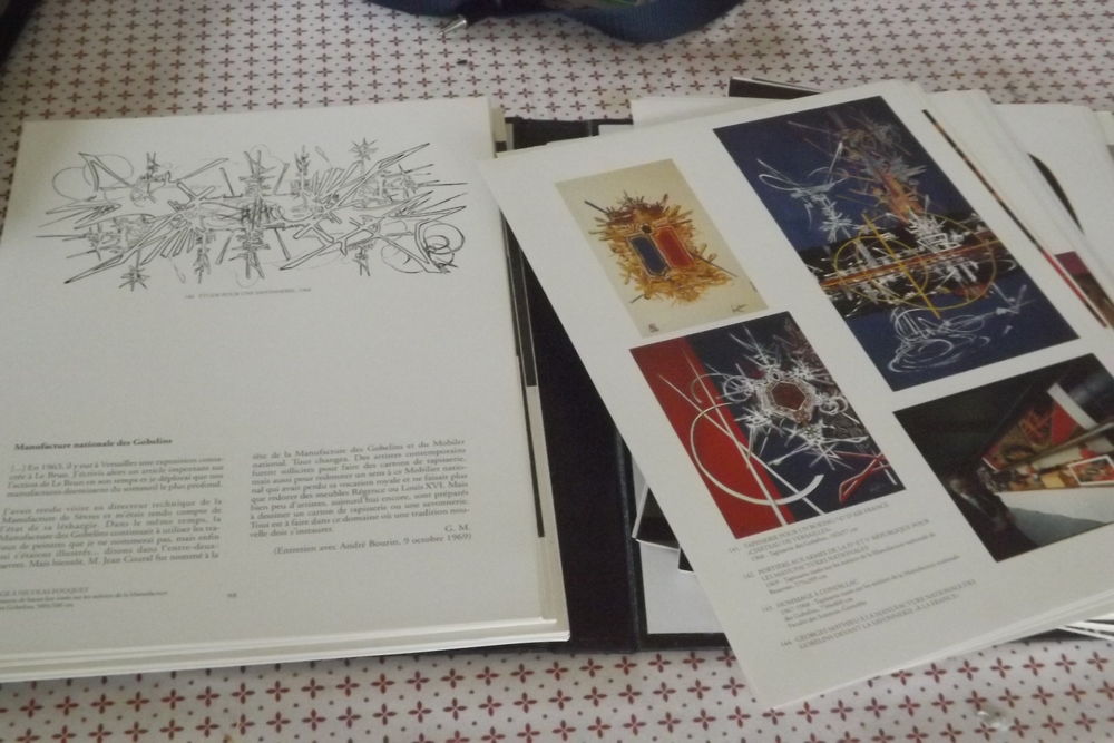 9 volumes sur peintres Livres et BD