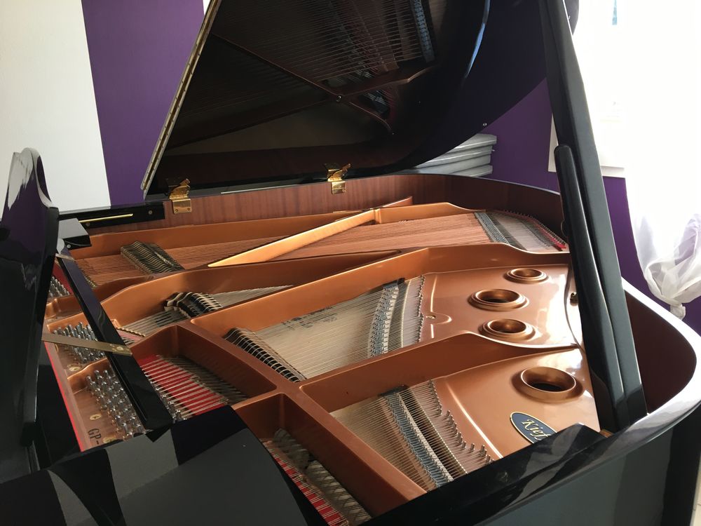 Piano &agrave; queue Instruments de musique