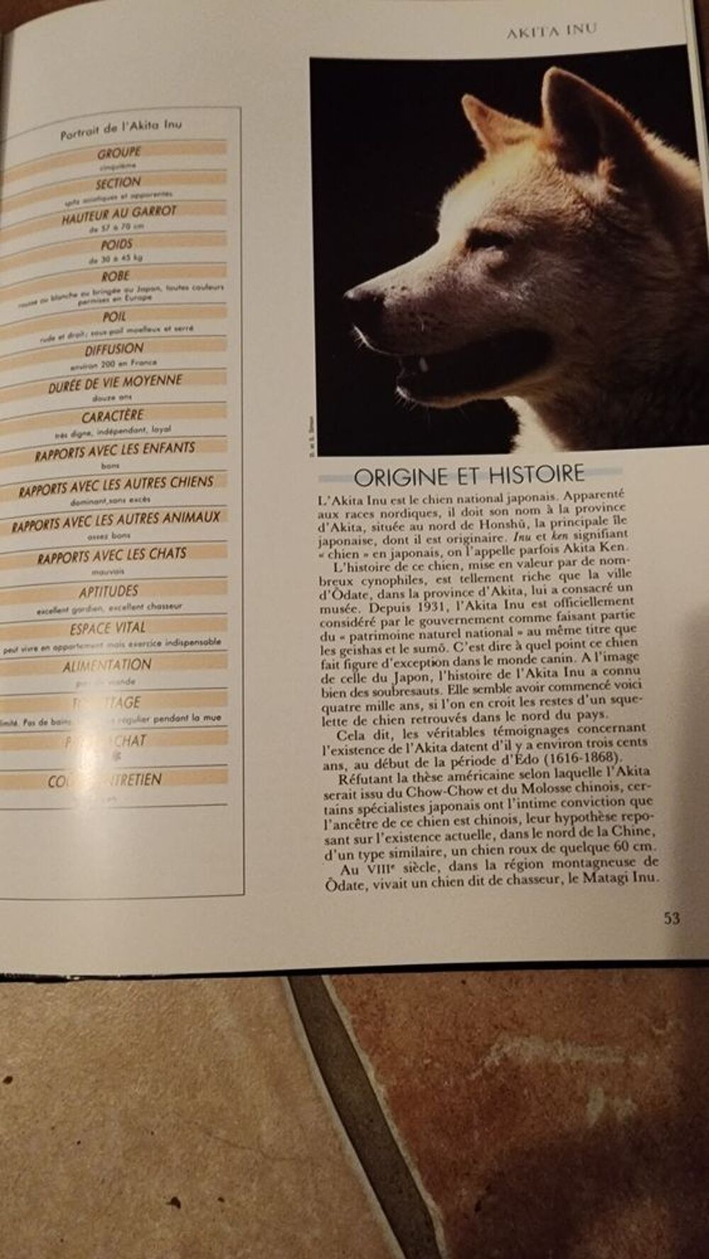 Collection Atlas Mon Compagnon le Chien Livres et BD