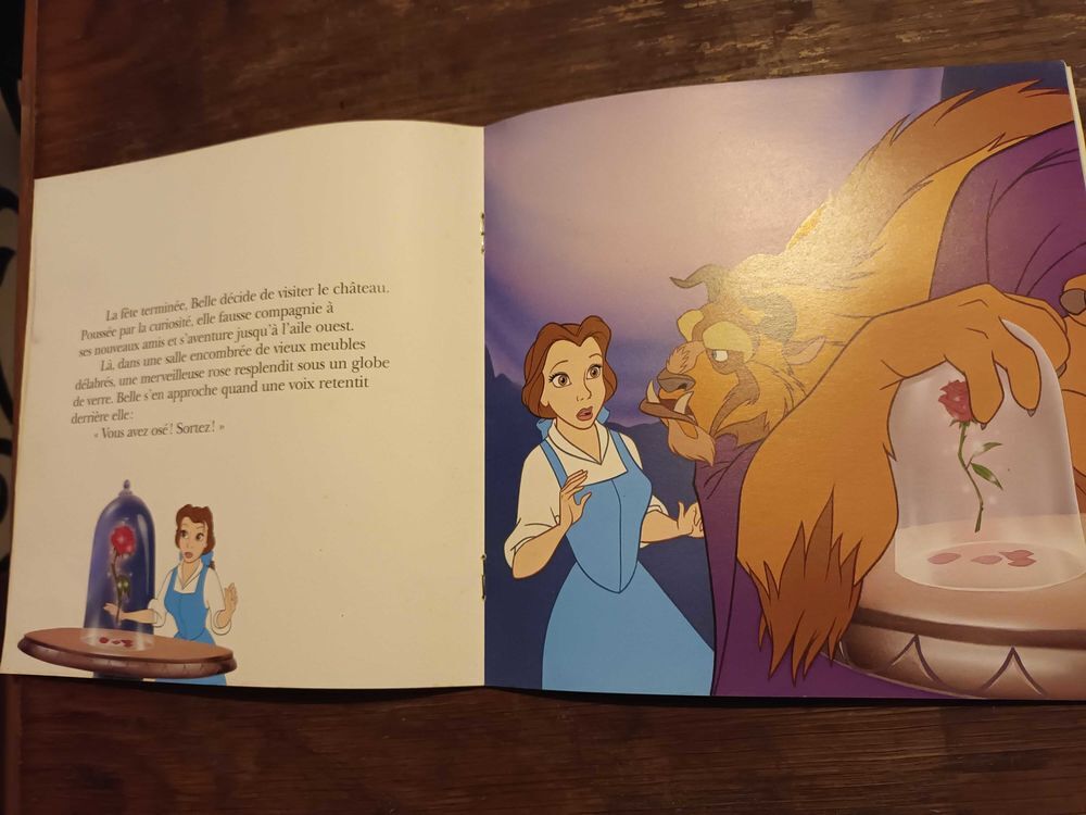 la belle et la b&ecirc;te Livres et BD