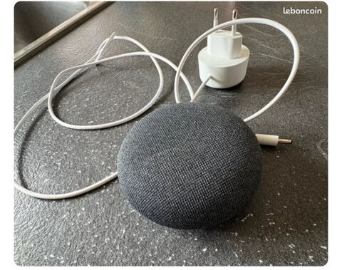 Google home nest mini 25 Larressore (64)