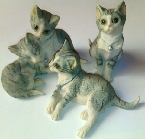 3 chats de collection ( N°5 )
5 Viry-Noureuil (02)