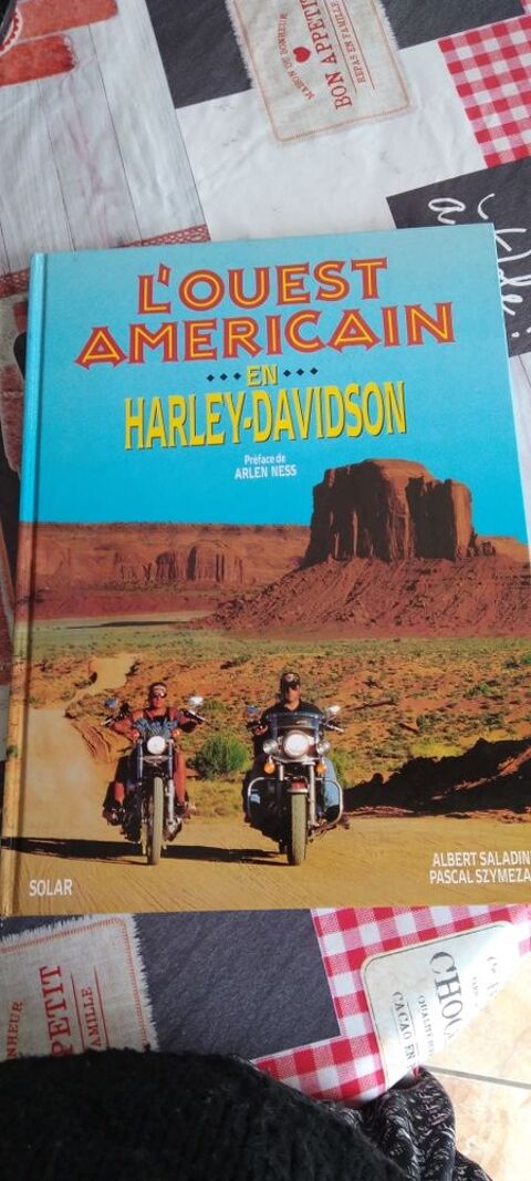 L'Ouest américain en Harley-Davidson 8 Dijon (21)
