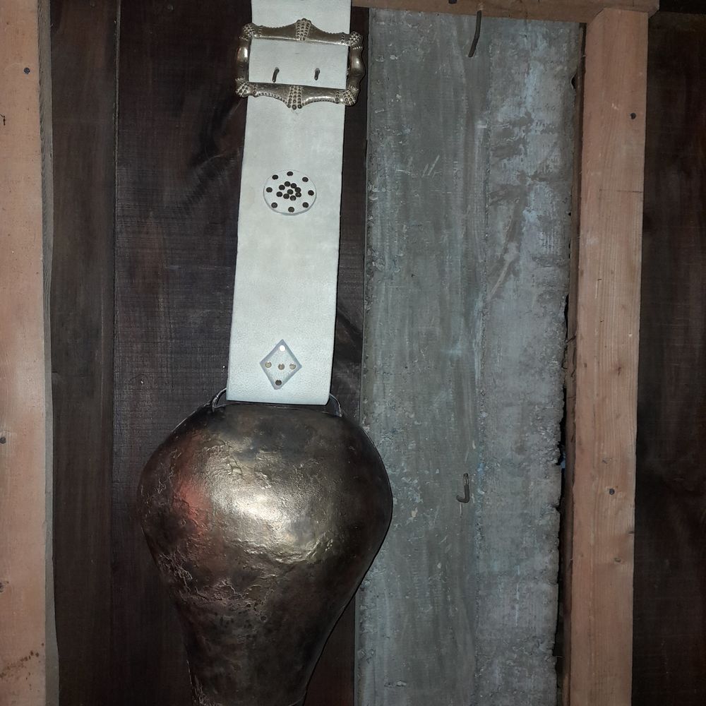 Sonnaille Redon &plusmn;38cm avec collier 