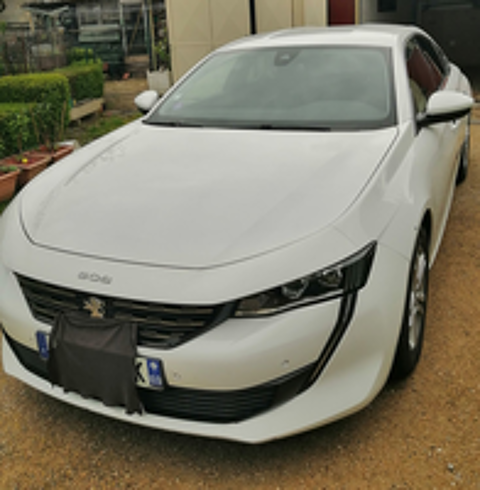 508 PureTech 180 ch S&S EAT8 Allure 2019 occasion 69780 Mions