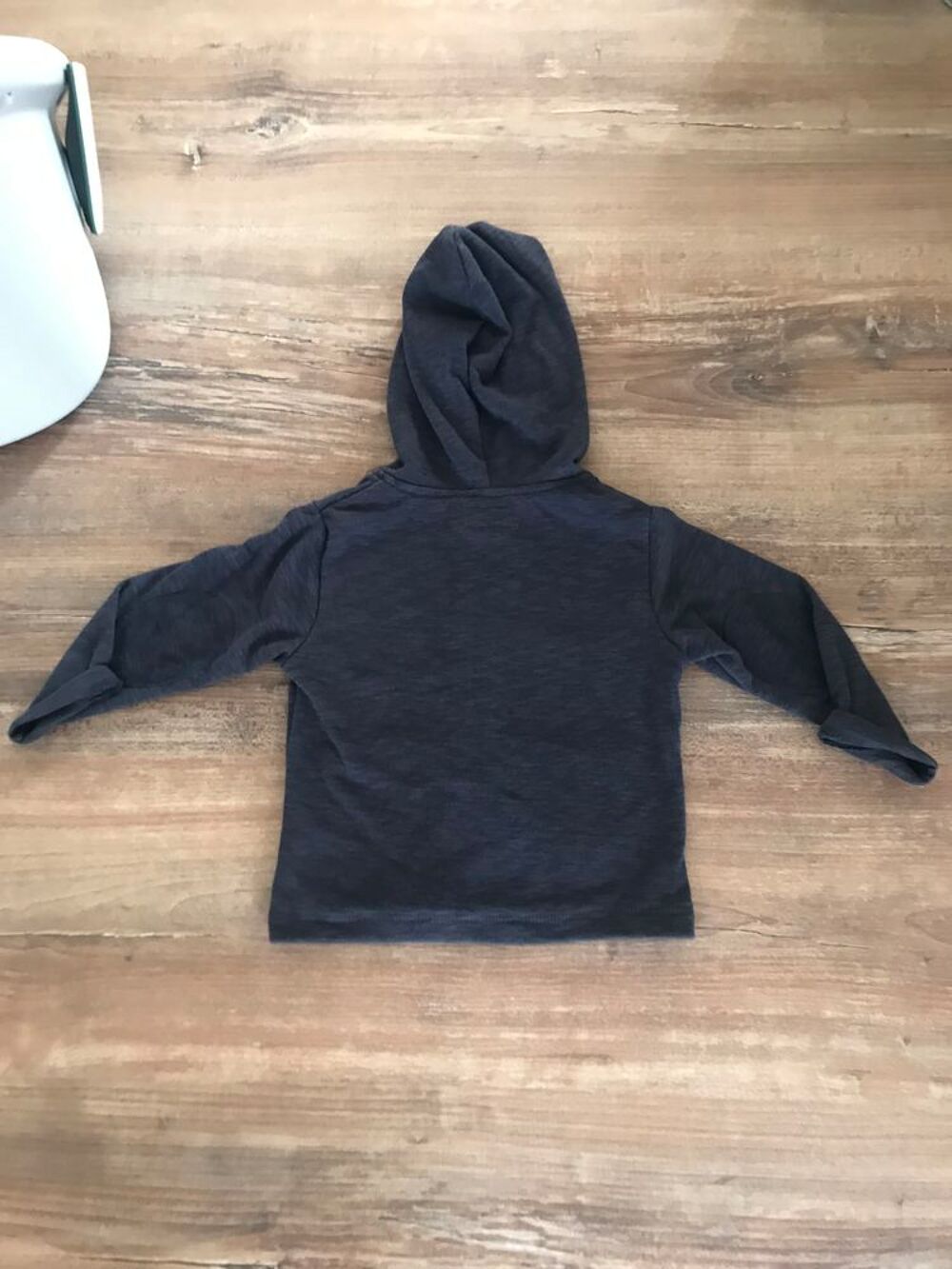 Sweat capuche enfant gar&ccedil;on " La compagnie des pet Vêtements enfants