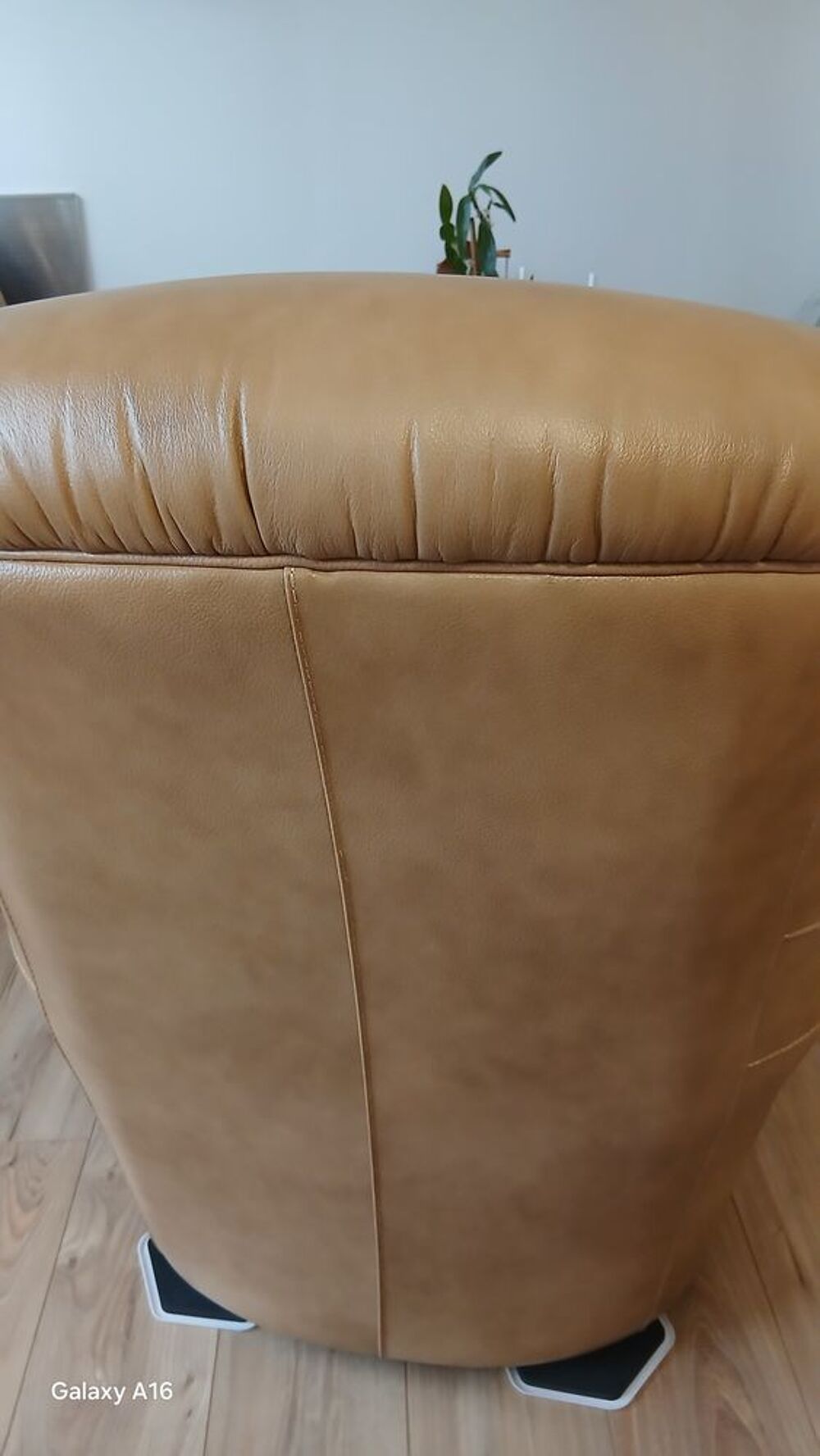 canape cuir center Meubles