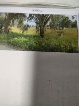  Terrain � vendre 5885 m� Pinhal novo