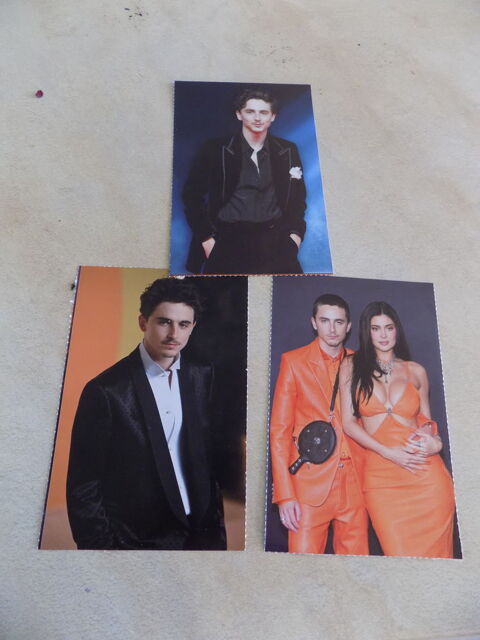 Images Timoth�e Chalamet 1 La Motte-d'Aveillans (38)