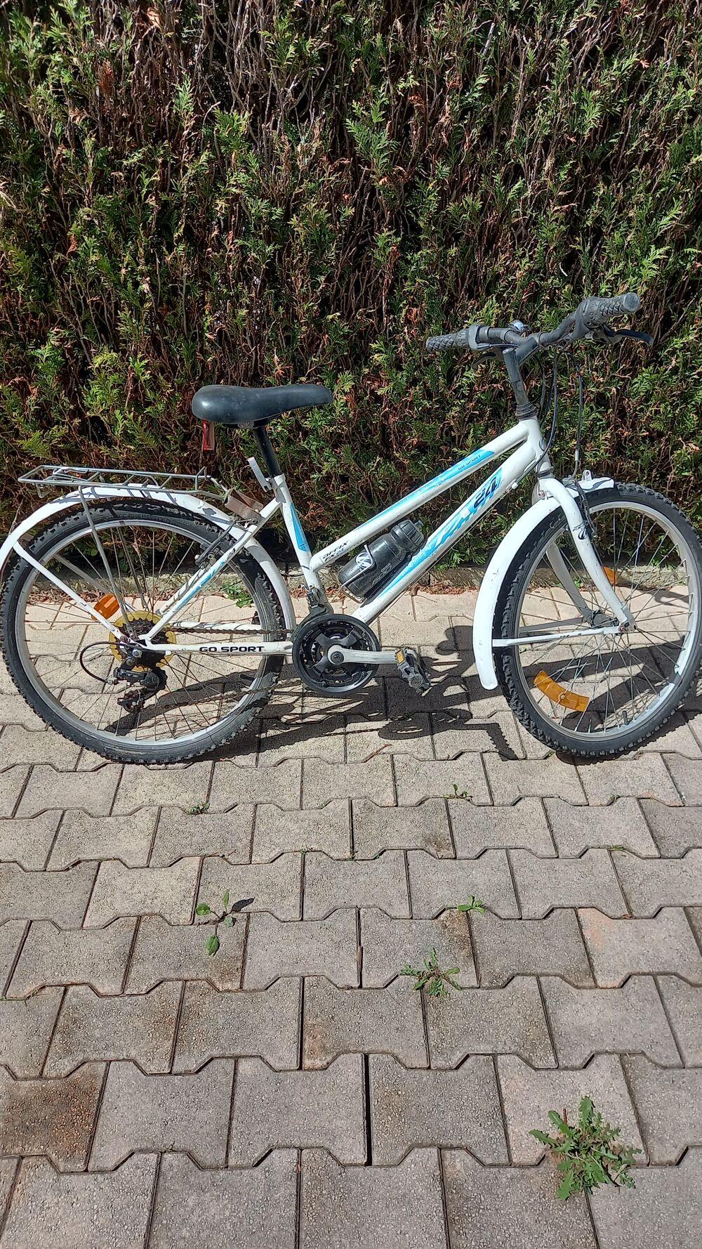 Un v&eacute;lo pour les balades en famille. Vélos