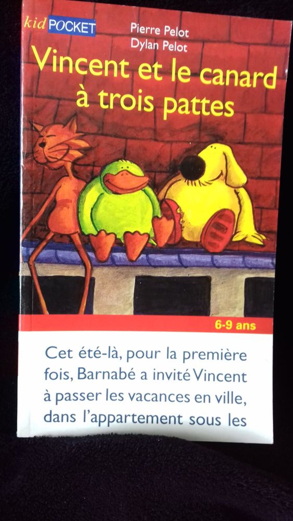 livre de poche bandes dessinnees Livres et BD