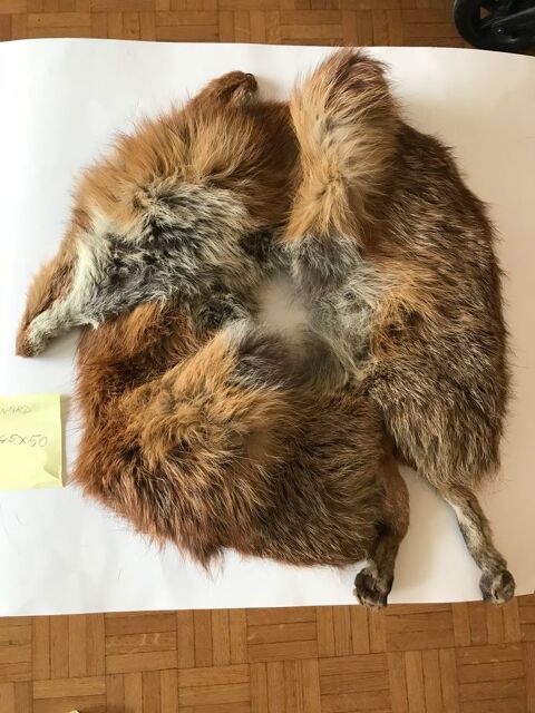 écharpe/étole véritable  fourrure de renard  49 Saint-Maur-des-Fossés (94)