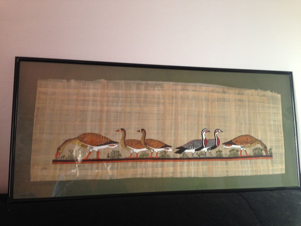 Papyrus en baisse ! Décoration