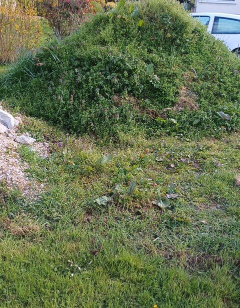 Terre vegetale Saint-Martin-en-Bresse (71)