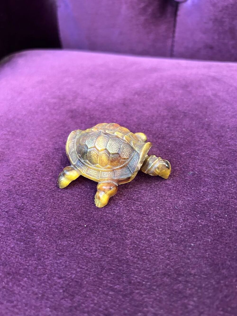 Tortue r&eacute;aliste Décoration