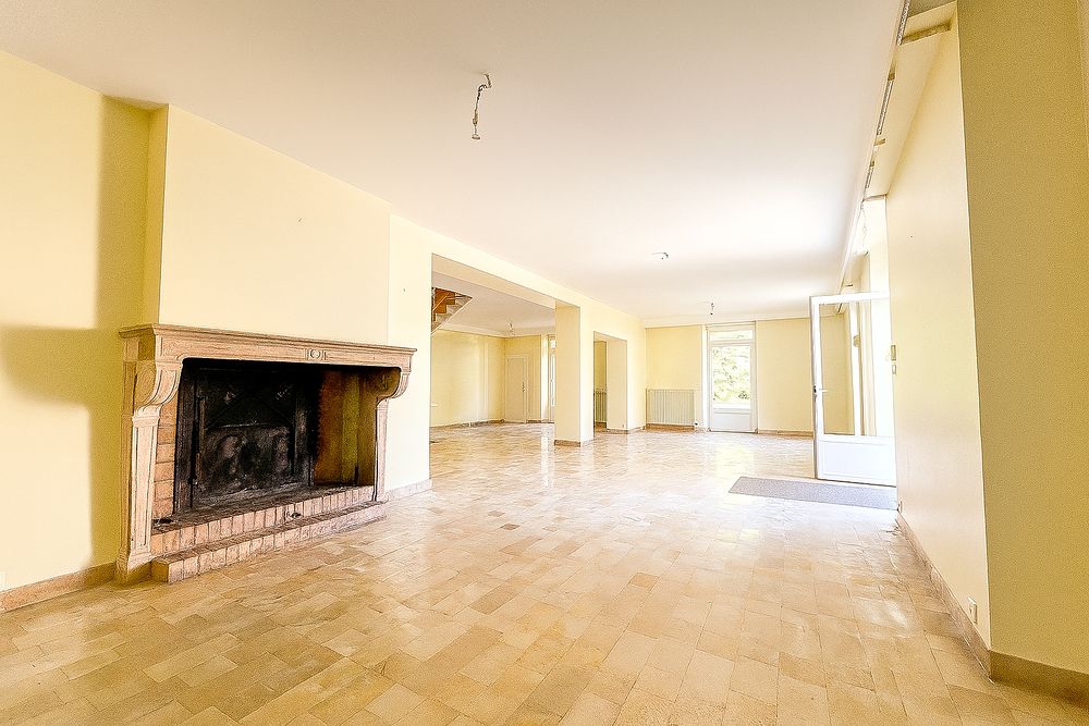  vendre  Proprit/chteau Arc-sur-Tille (21560)