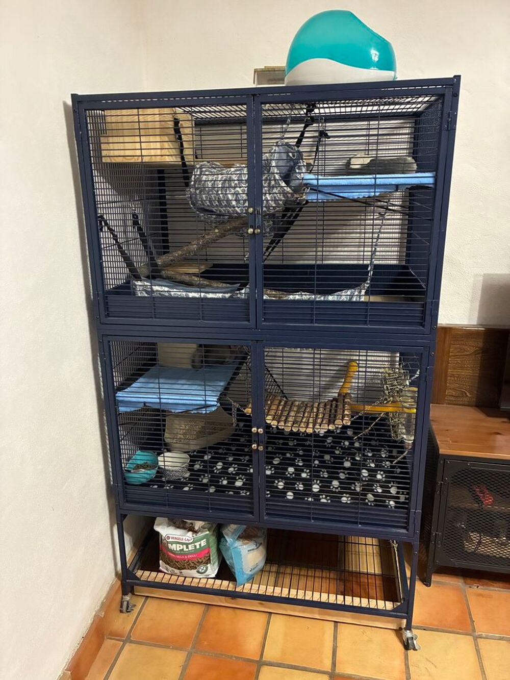   2 chinchilla + cage + accessoire 