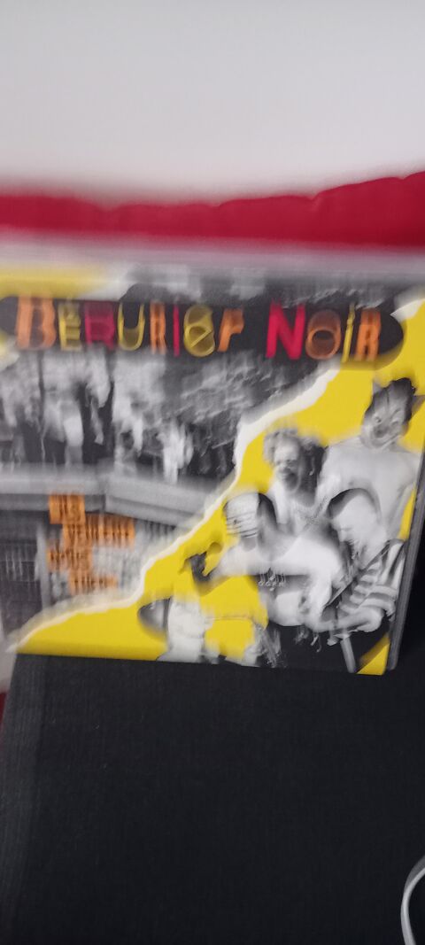 des disques vinyles de punk et punk rock. 25 Jonage (69)