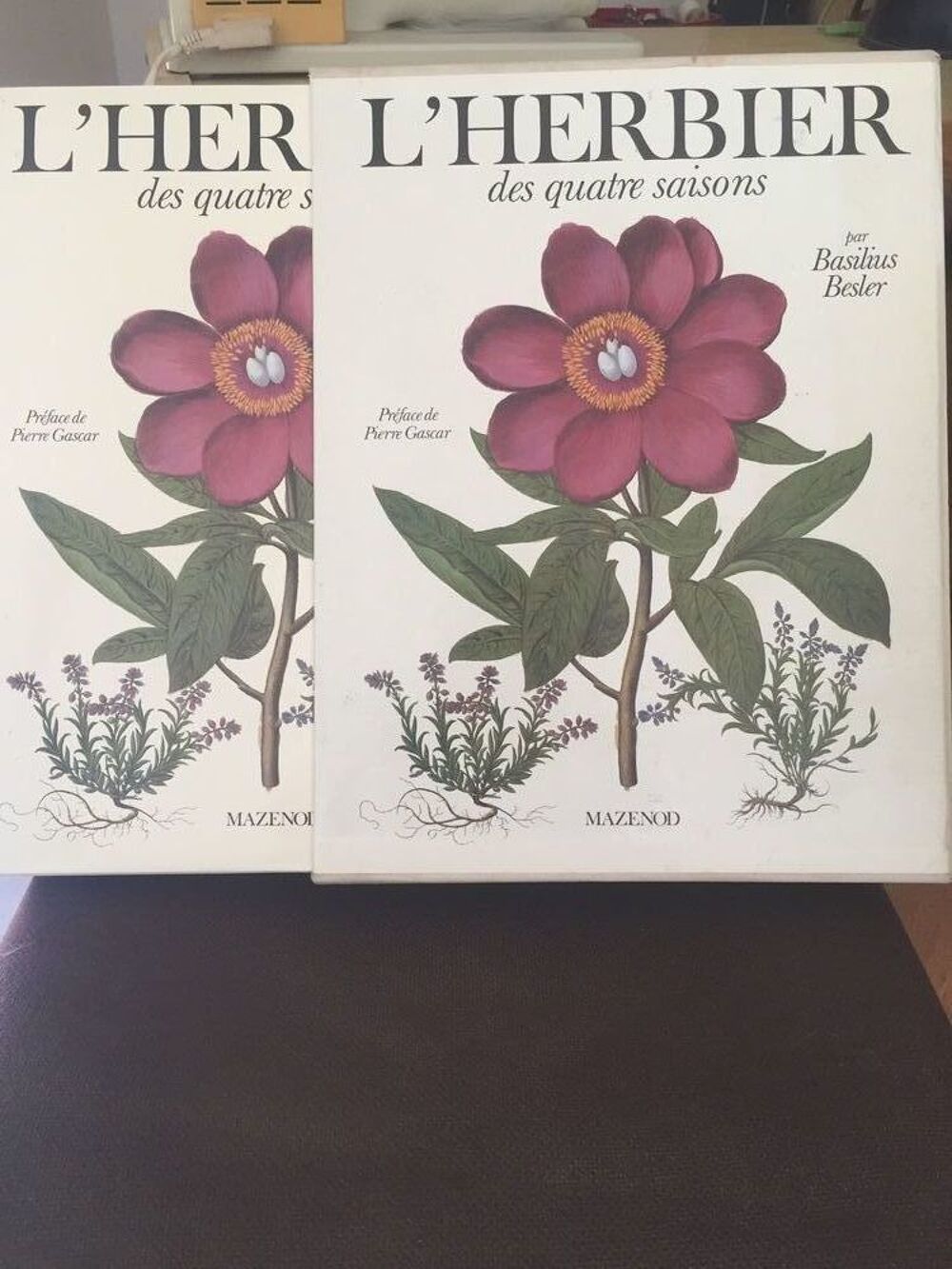 L'Herbier des quatre saisons
Par Basilius . Livres et BD
