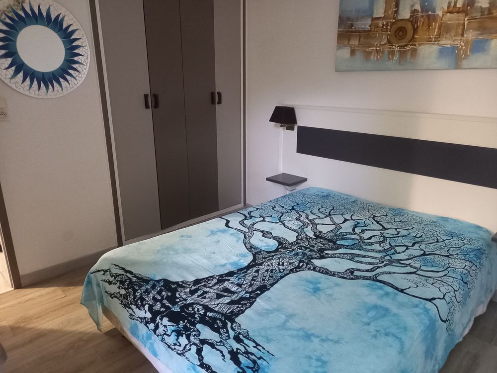   2 PIECES - ARGELES-PLAGE Languedoc-Roussillon, Argeles Plage (66700)