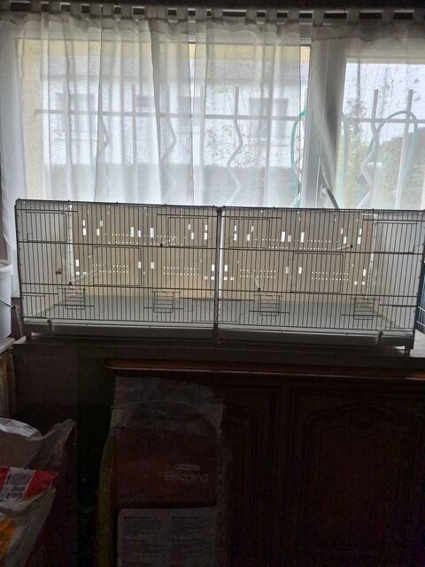Cage d élevage oiseaux 50 Plouvorn (29)