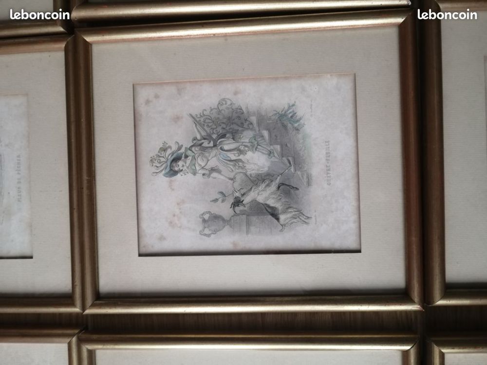 lot gravures graveur Granville fleurs plante femme fleur art 