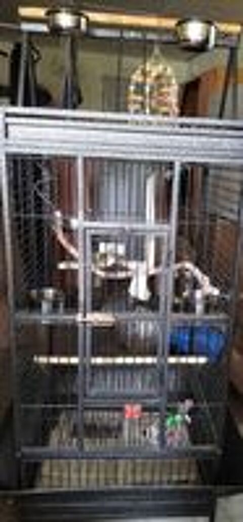   cage a perroquet  
