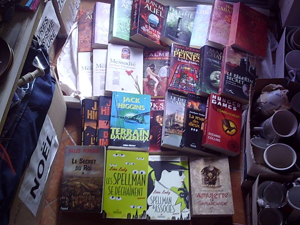 Livres &amp; Romans "SAGA" tous genres (0,10 € &agrave; 2 €) Livres et BD