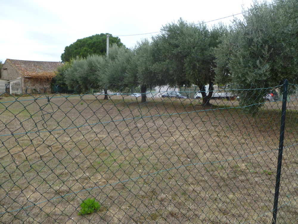 Vente Terrain Terrain Pouzolles