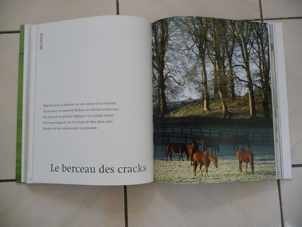 Livre Chevaux du monde - N E U F Livres et BD