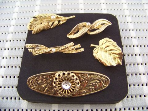 Broches 2 Saint-Jean-de-Thouars (79)