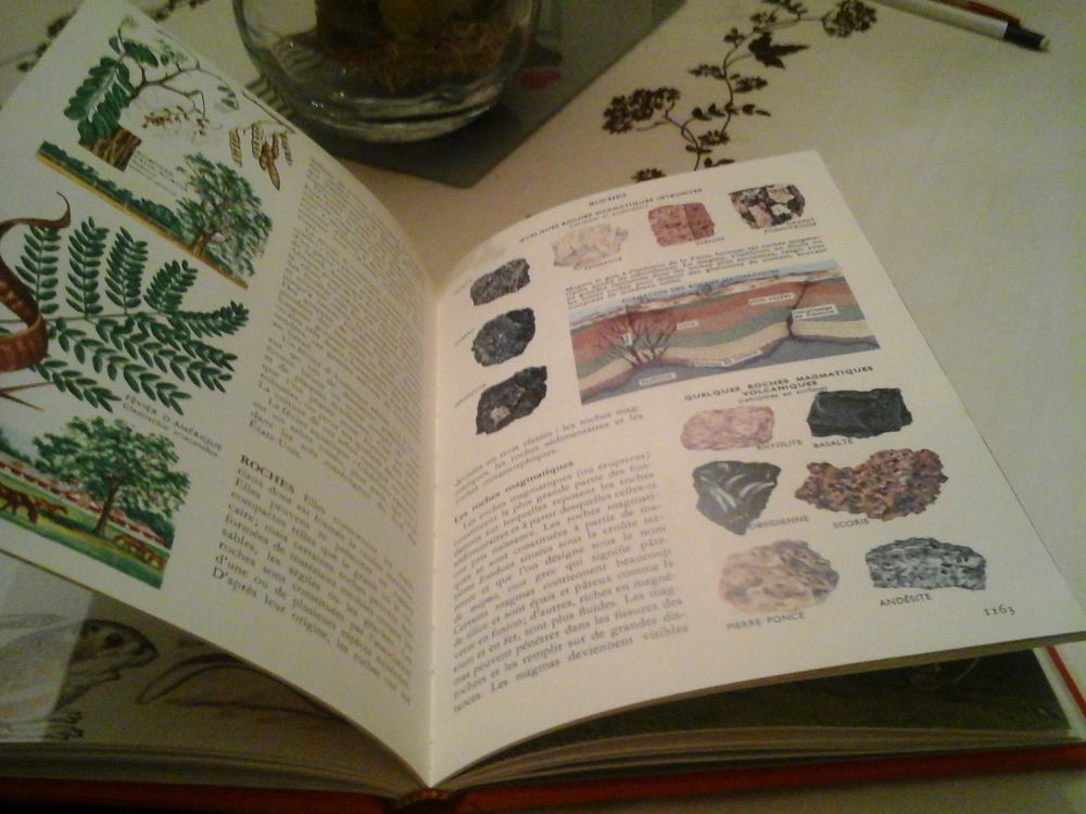 BIBLIOTHEQUE ENCYCLOPEDIQUE ILLUSTRE Livres et BD
