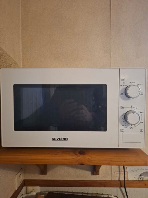 Four micro-ondes Le Mans (72)