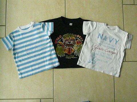 Lot de 3 tee-shirts 18 mois 9 Franqueville-Saint-Pierre (76)