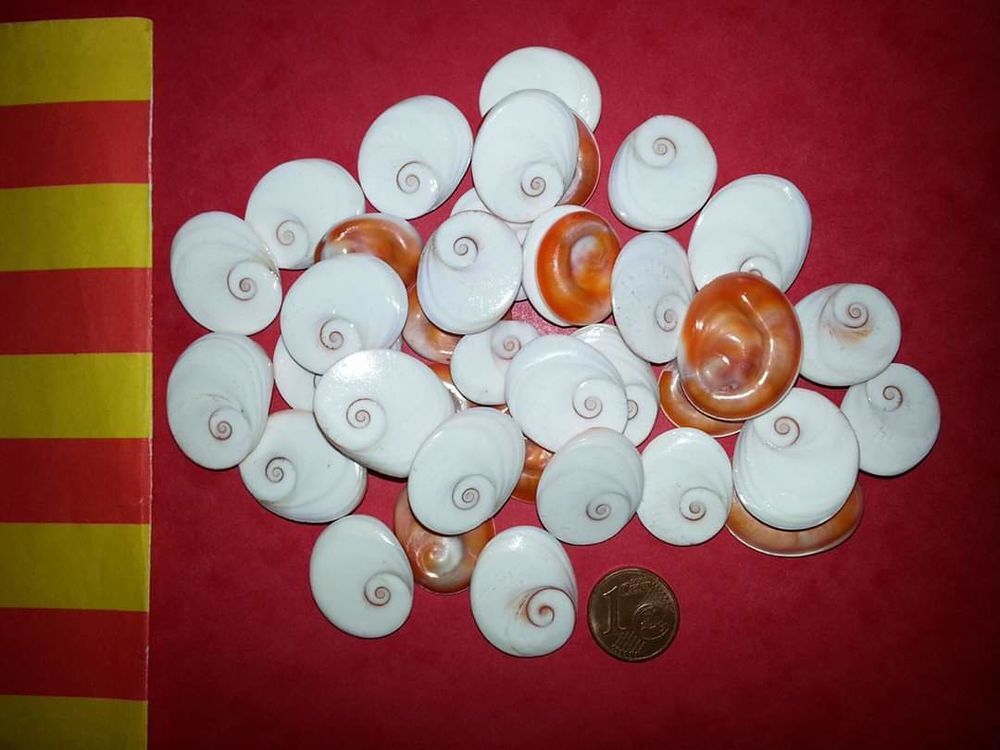 3 GRANDS " OEIL " de Sainte-Lucie, porte-bonheur. Bijoux et montres